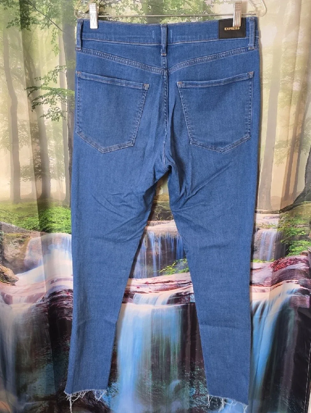 Express Classic Skinny Jeans in Blue